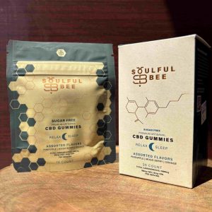 Soulful Bee Sleep Gummies